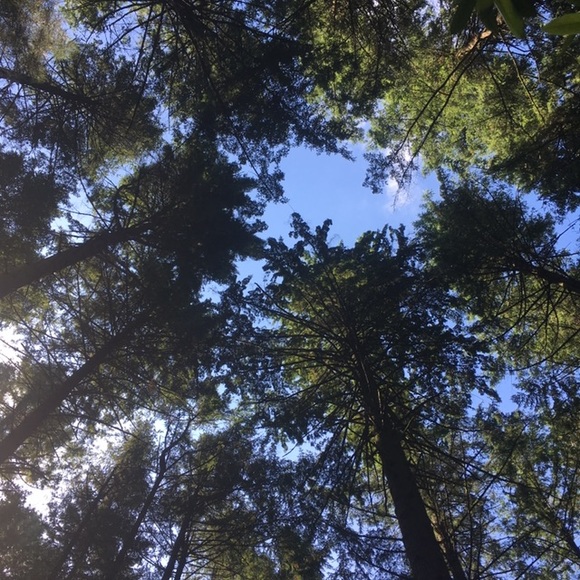 Meet your Posher, Holly - Picture 12 of 12